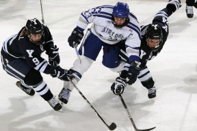 kaiyun网站-《《英雄联盟》新版本：新增英雄“霜刃”战场全新体验》，英雄联盟新版装备霜火护手