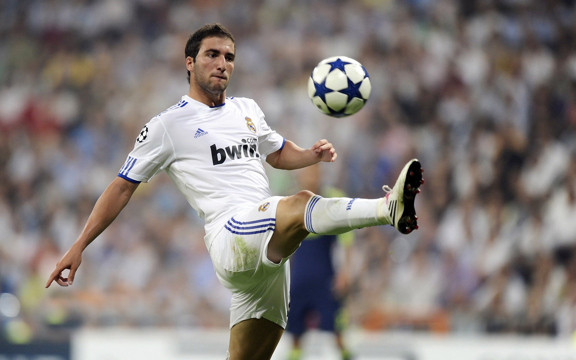 【比赛分析】马克·塞尔比的防守策略,谁能破解?,马克塞尔比的人生经历